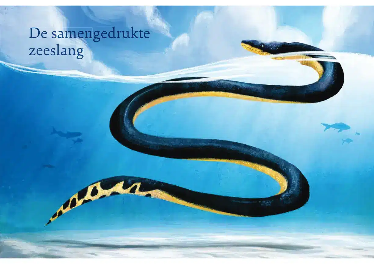 Een Slijmzoen voor je oma