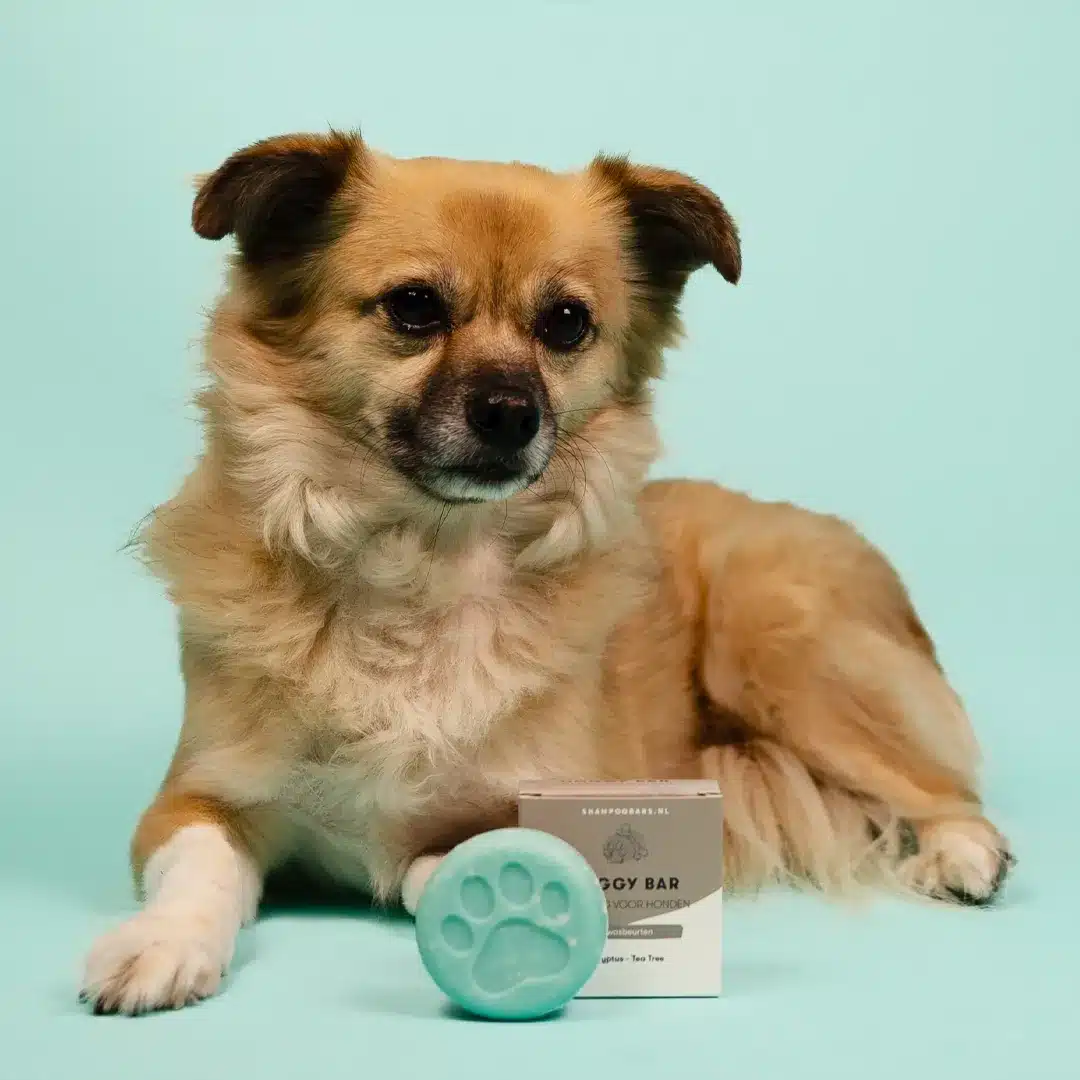 Shampoobars Doggy Bar