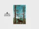 Salt boekenclub Boek Ooit waren er wolven