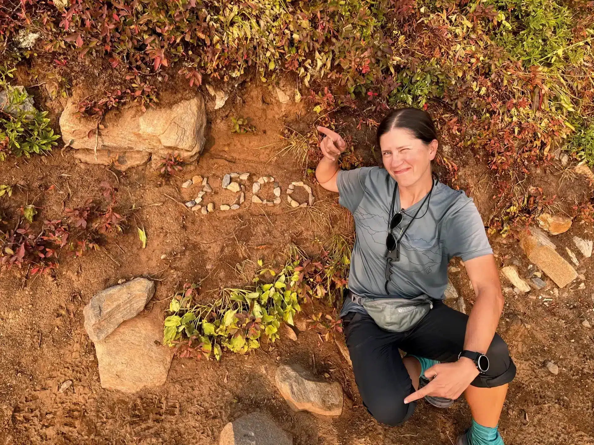 Lies - boek zes miljoen stappen