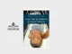 Boek Stel dat je hoofd je hart volgt