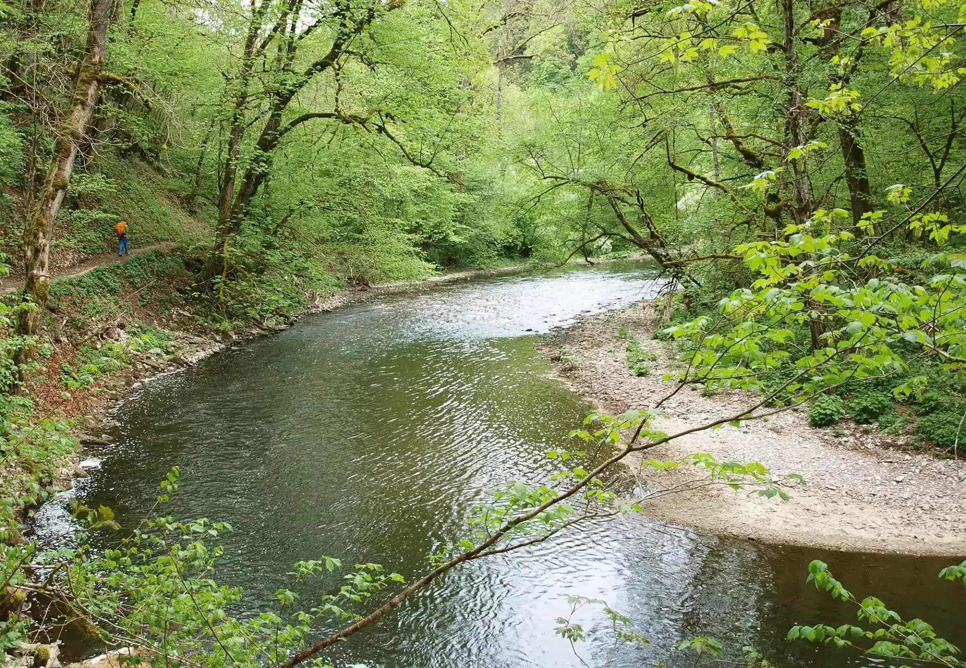 Freiburg Schluchtensteig