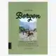 Achter de bergen