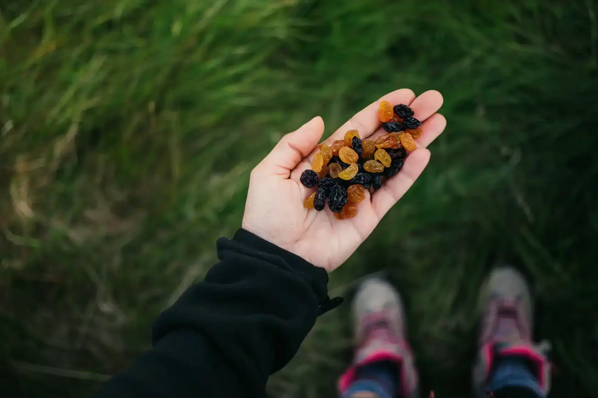 GORP Trailmix