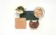 Mycelium vegan leather