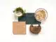 Mycelium vegan leather