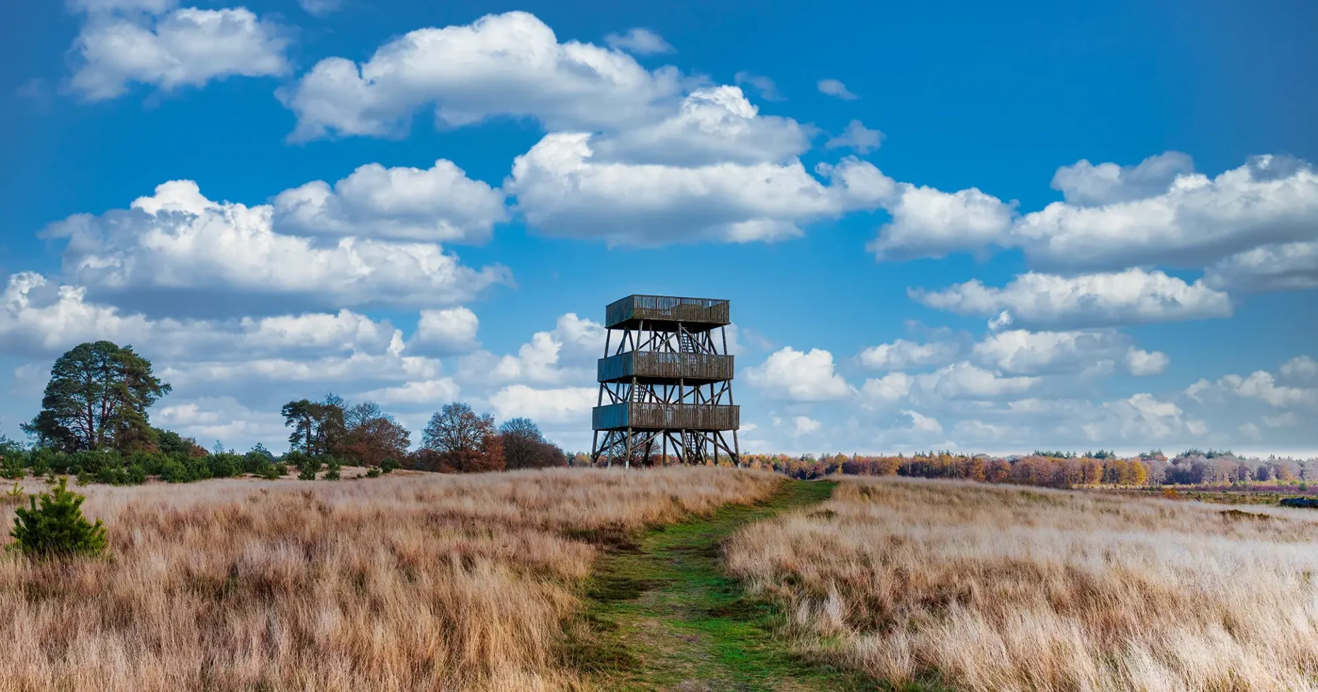 Nationaal Park Drents Friese Wold