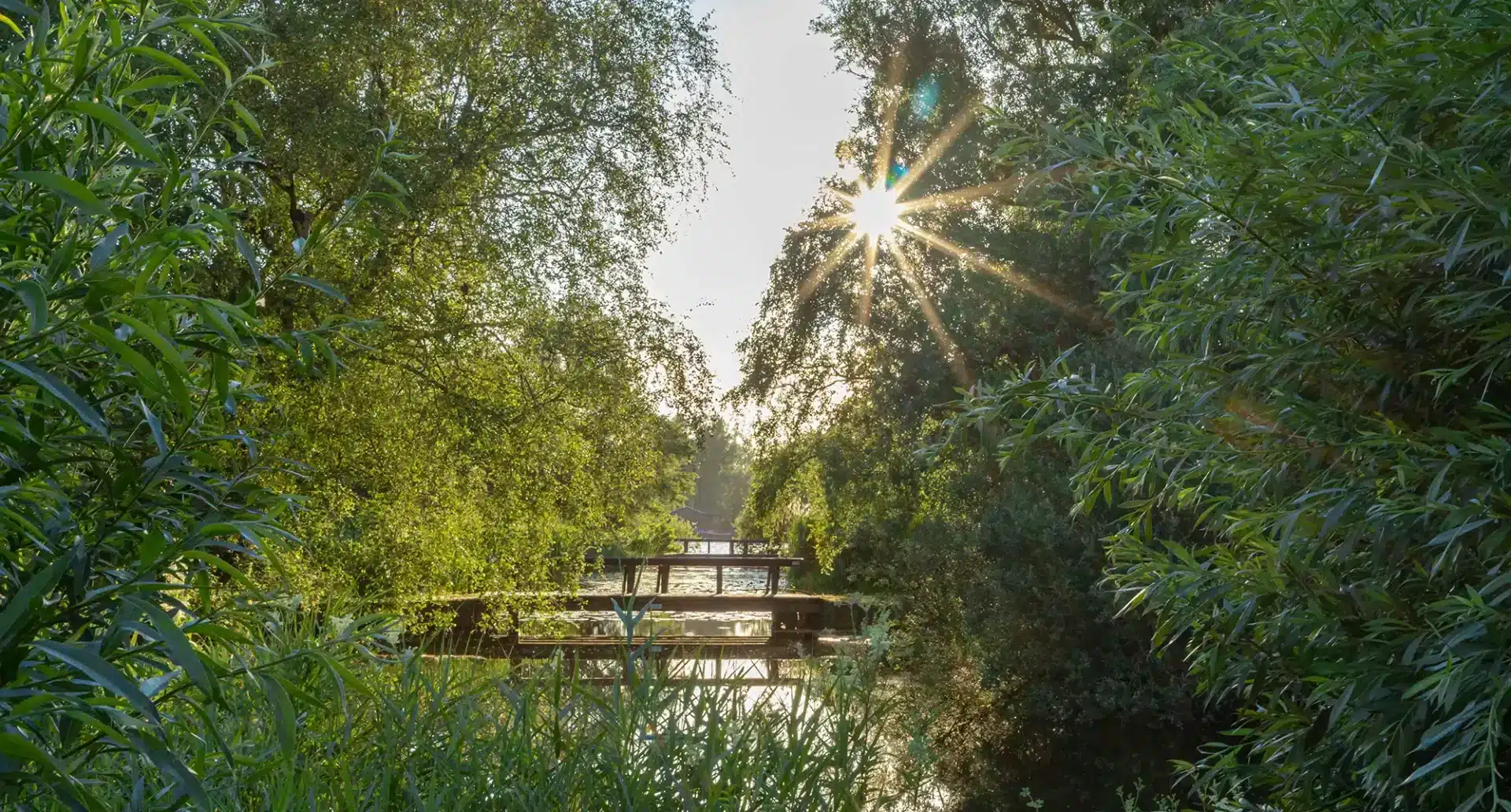 Bruggen Amsterdamse bos