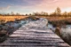 Vlonderpad Groote Peel Boardwalks en vlonderpaden