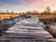 Vlonderpad Groote Peel Boardwalks en vlonderpaden