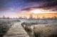 De Groote Peel boardwalk vlonderpad winter