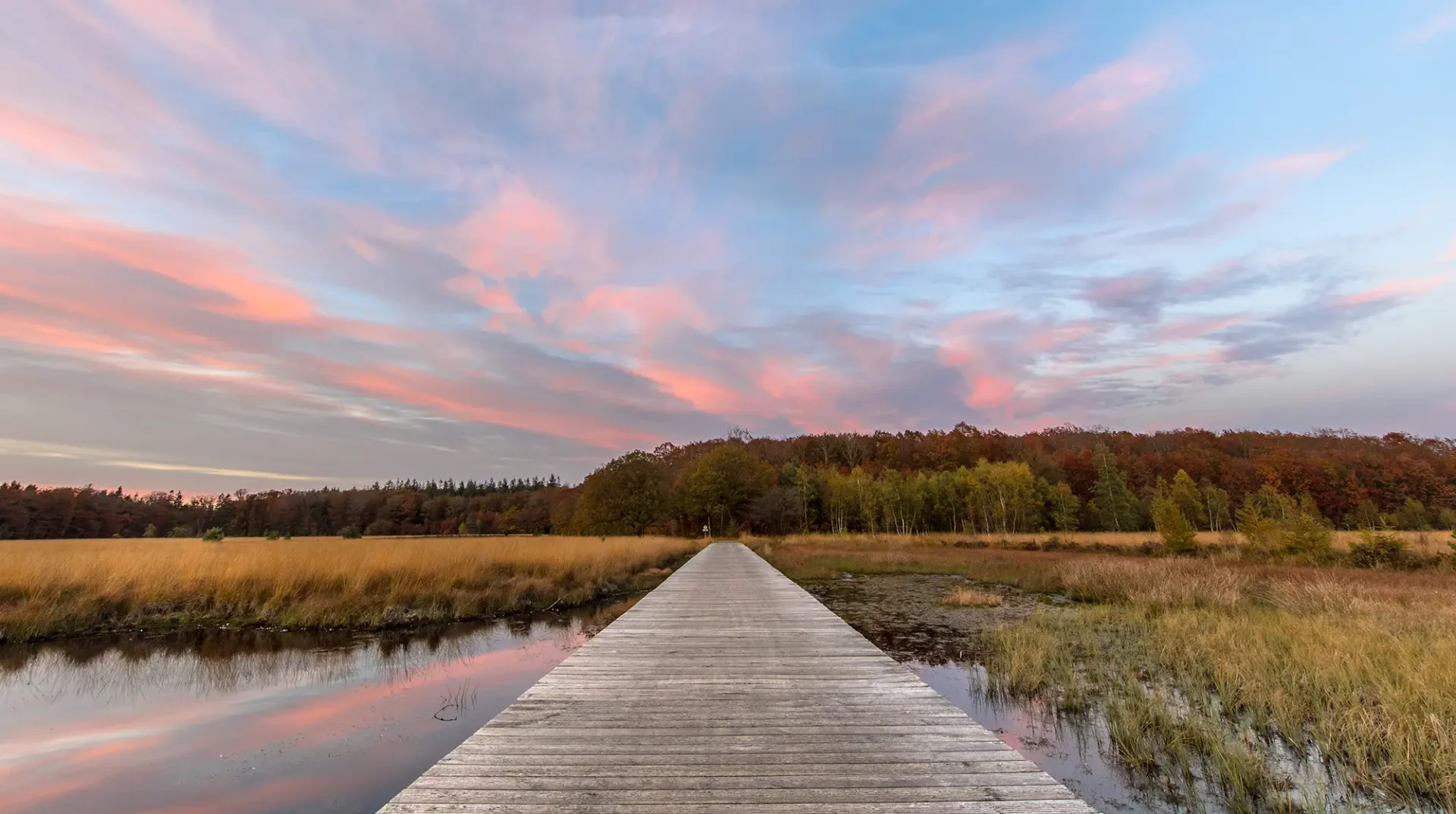 Vlonderpad Hart van Drenthe