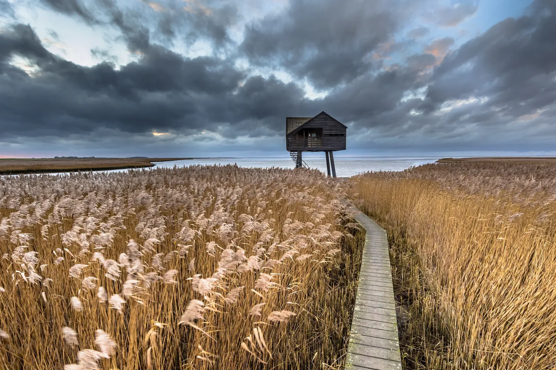 Kiekkaaste Groningen