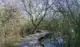 Boardwalk Moerputten
