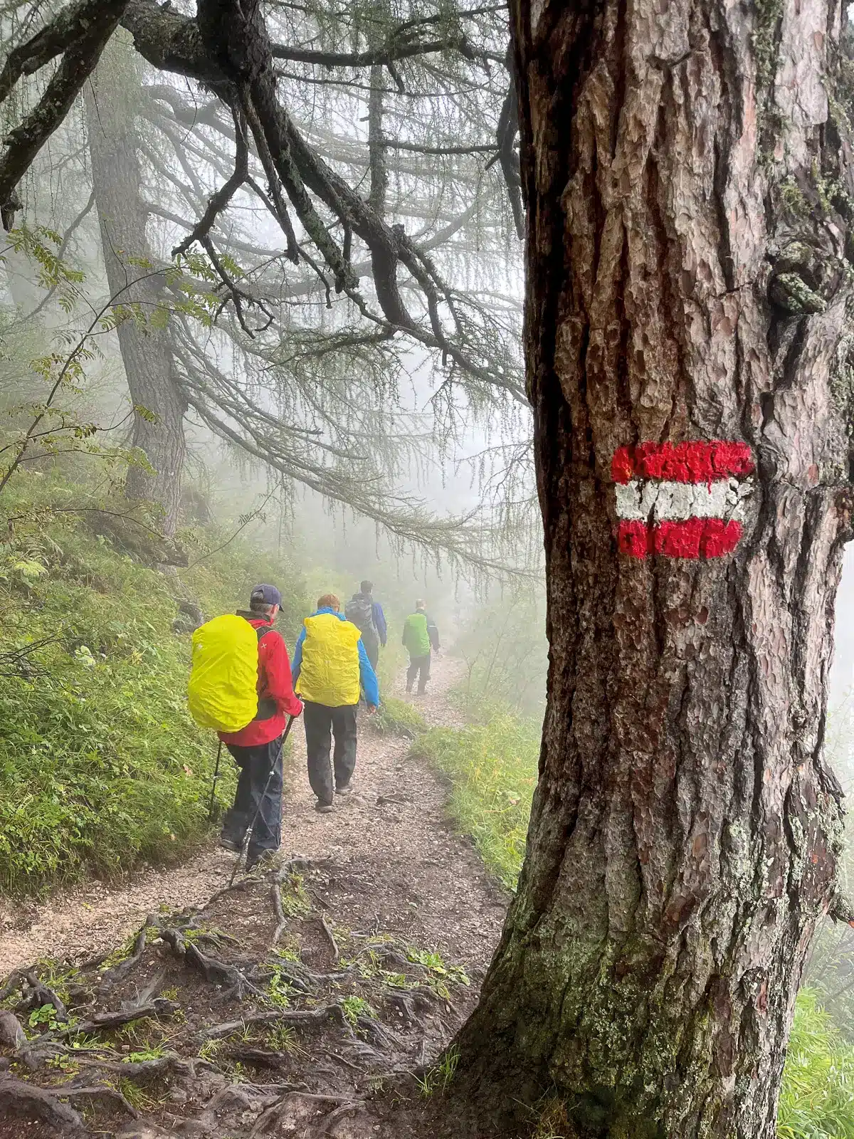 Huttentocht Dachstein