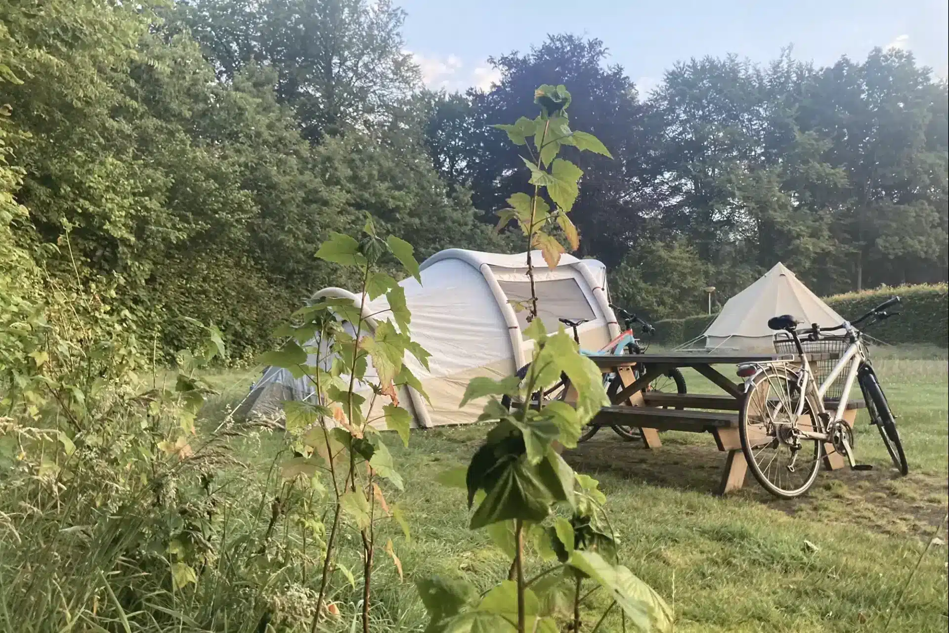 Soil Power 2025 - Kamperen Ochtend