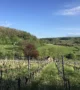 Dutch Mountain weekend | Dutch Mountain Trail | Wijngaarden