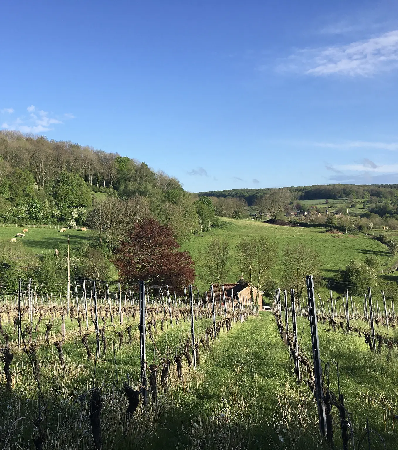 Dutch Mountain weekend | Dutch Mountain Trail | Wijngaarden