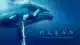 Ocean Davi Attenborough