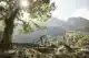 Ticino trailrunning mountainbiken boulderen