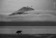 Essence of Kamchatka – Kesshav Vikram, India