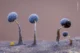 Slime Family Portrait – Kutub Uddin, Bangladesh/VK