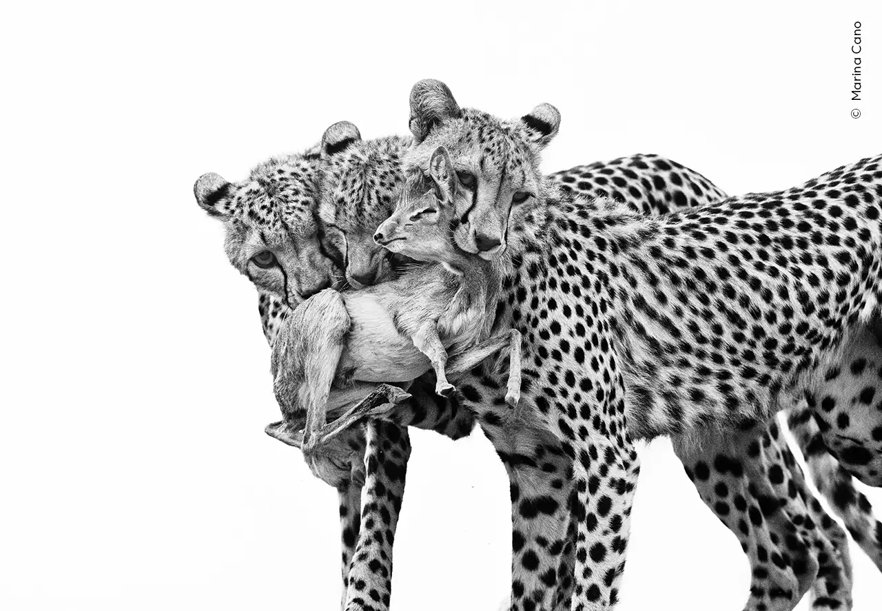 Deadly Lessons – Marina Cano, Spanje