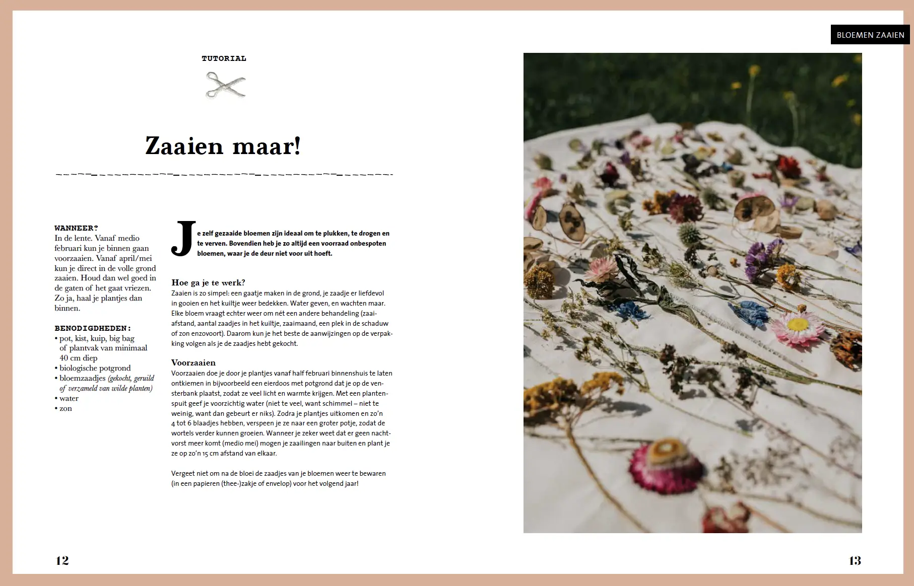 Slow Living bloemen zaaien