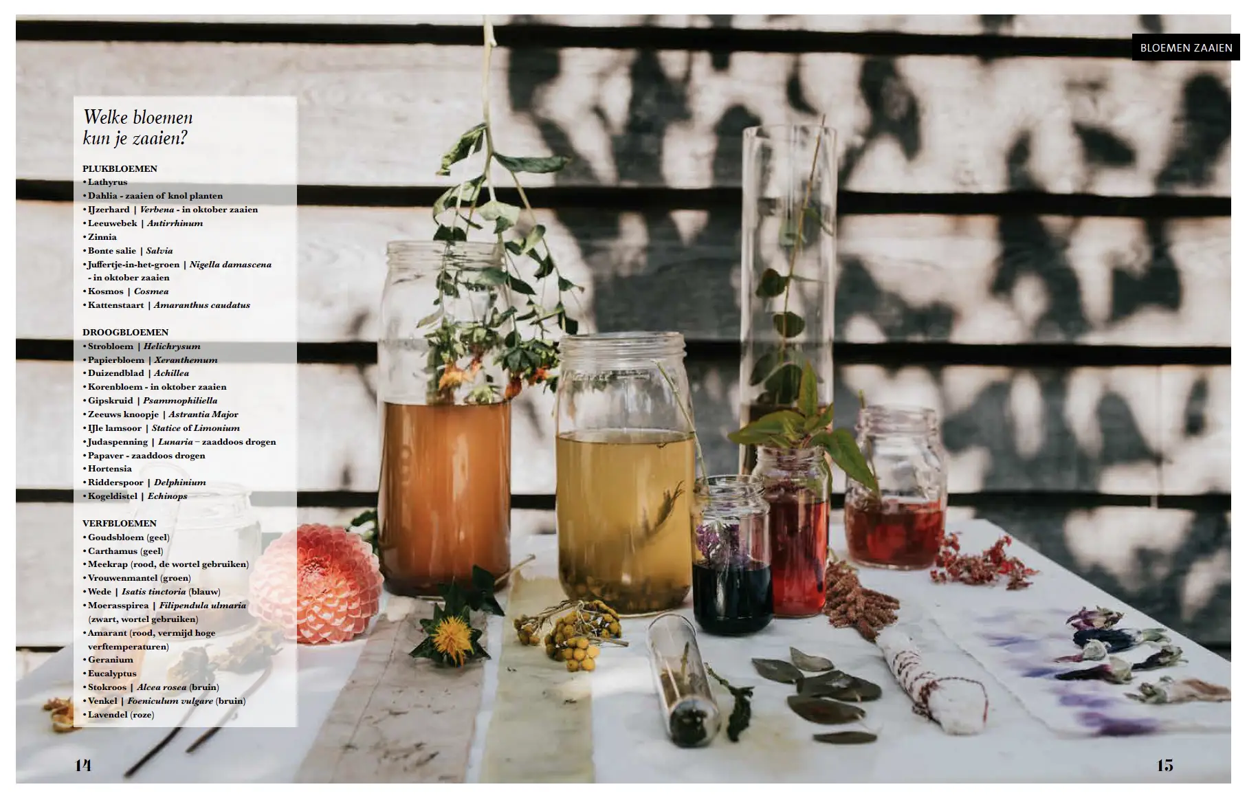 Slow Living bloemen zaaien wanneer