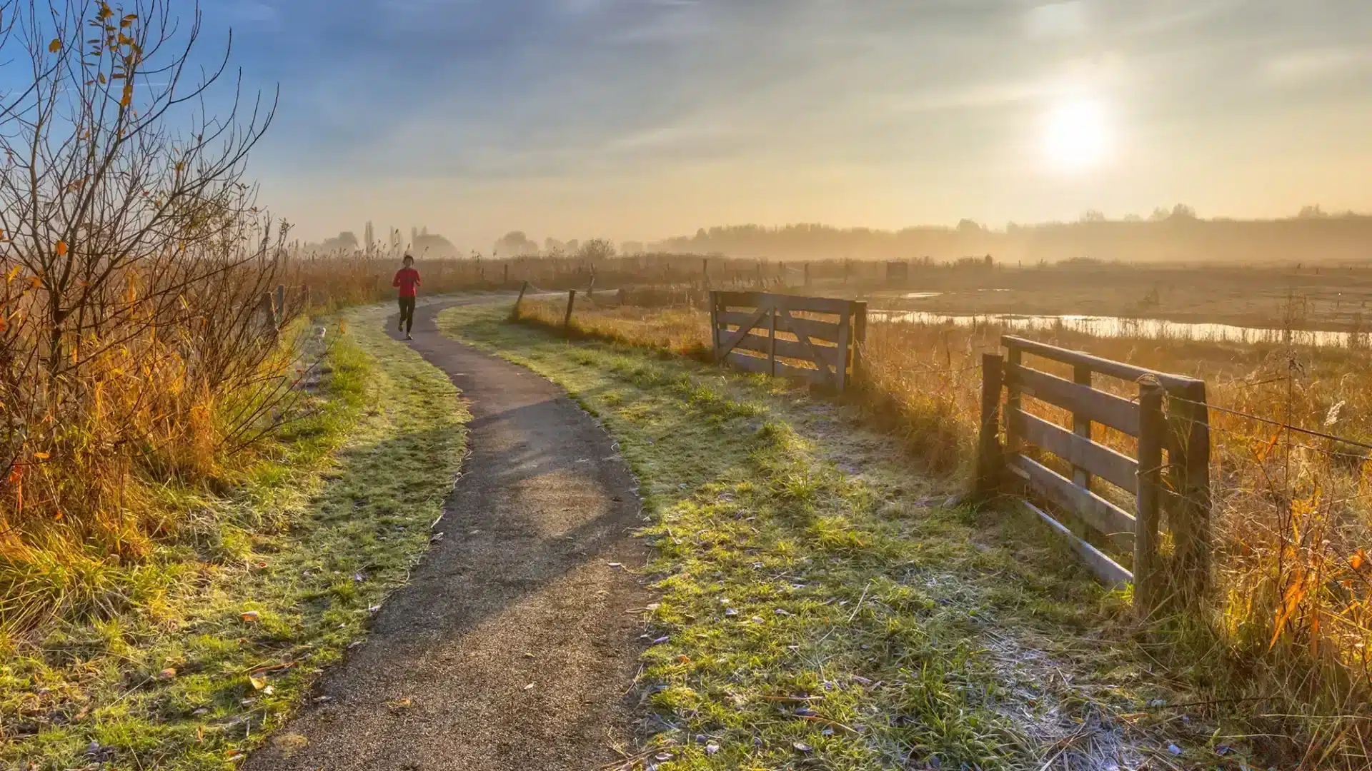 alleen hardlopen vroege ochtend