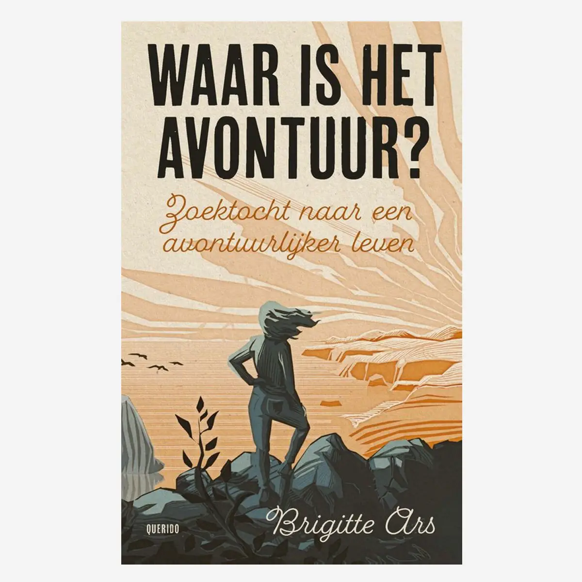 Cover Waar is het avontuur