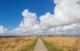 open vlakte met weg.