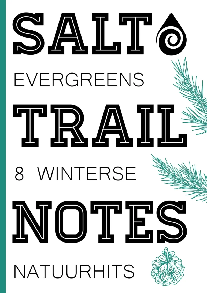 Cover Evergreens 8 winterse hits