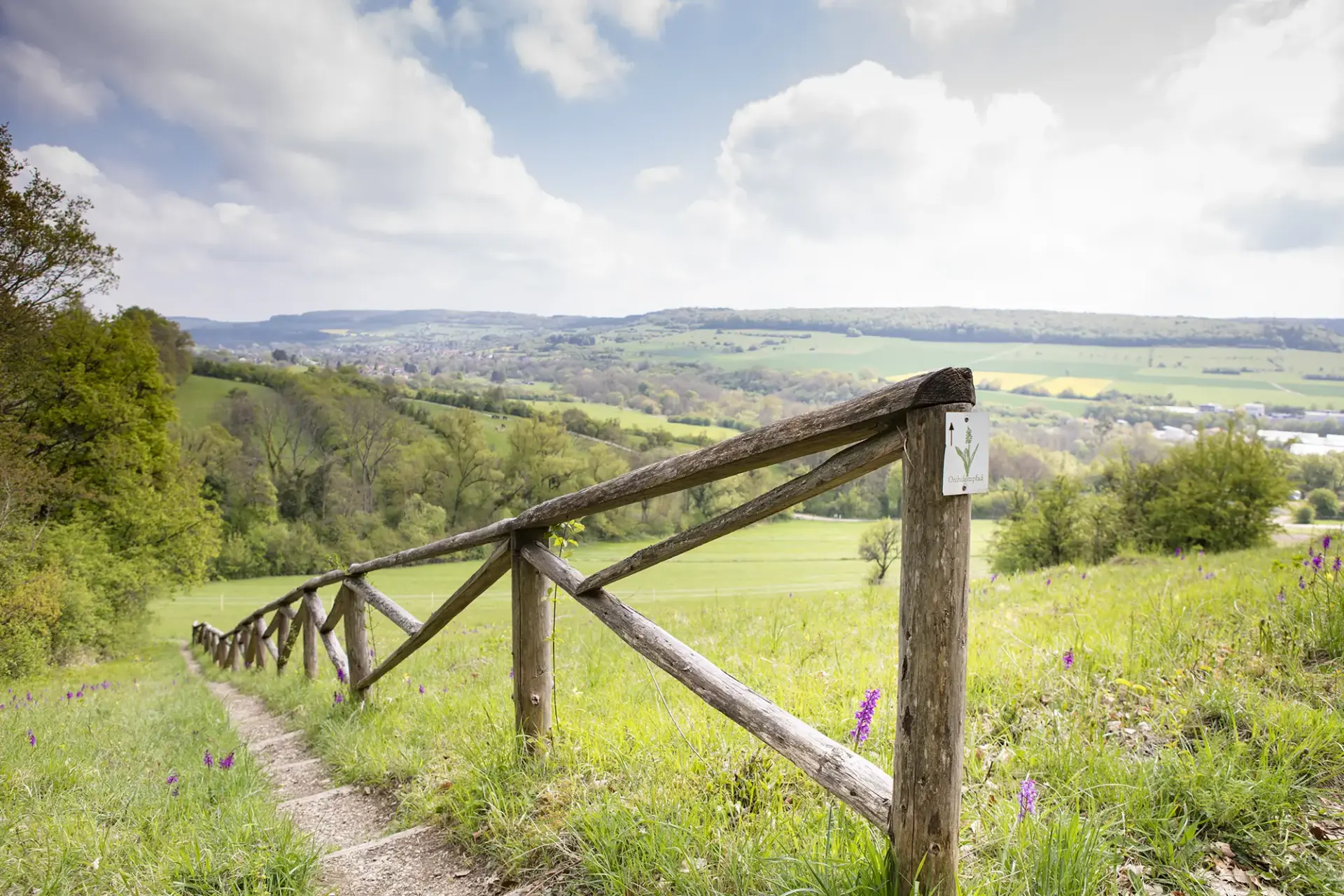 Orchideeen gebied Bliesgau