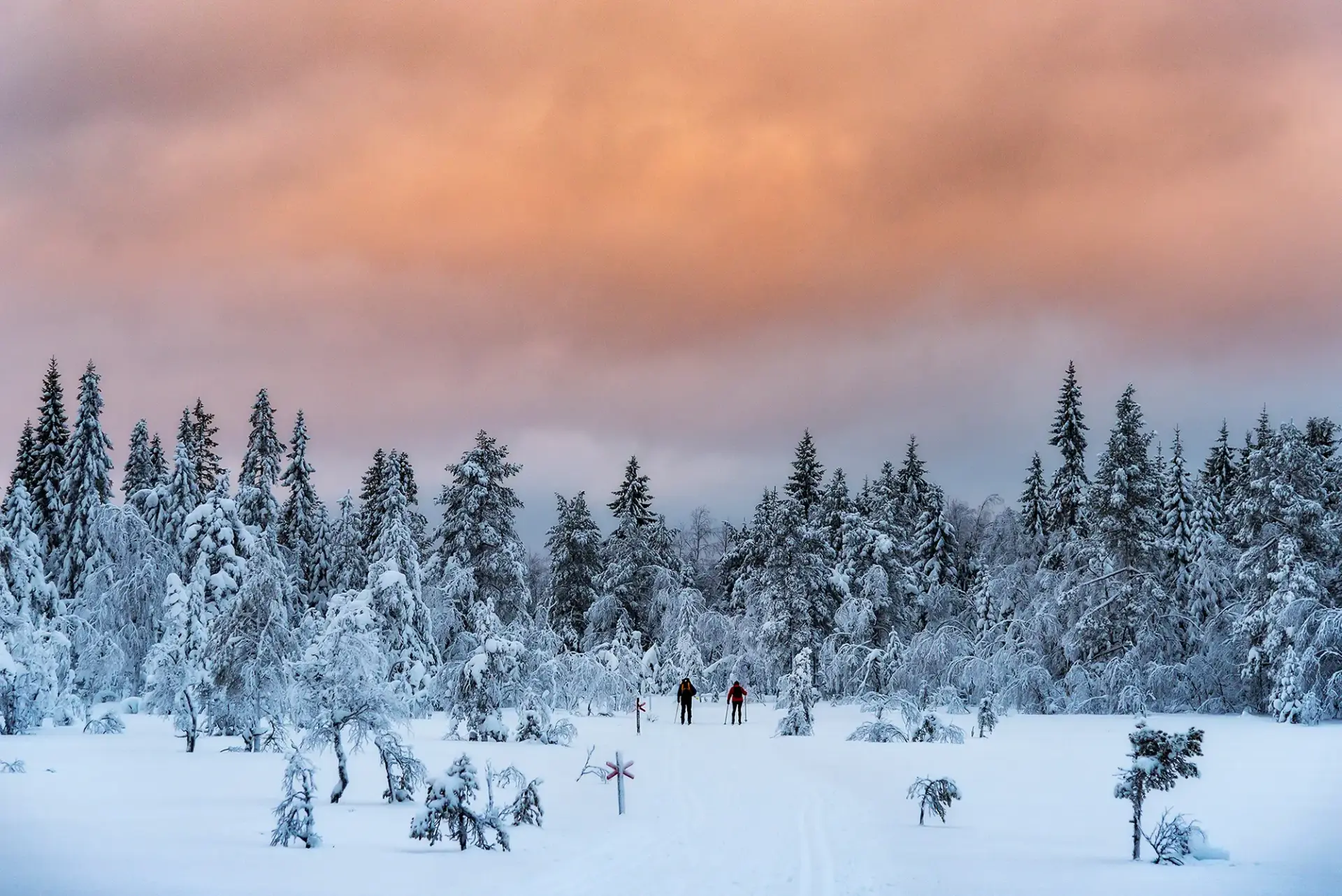 Hoga Kusten Winterwandeling sneeuwschoenen