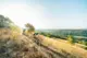 Perl Mountainbike hub