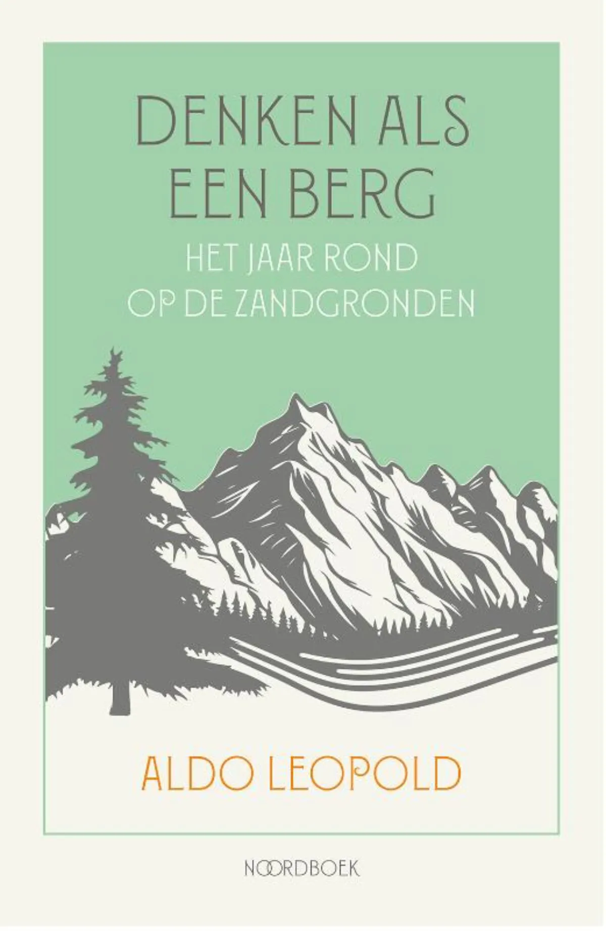 Cover Denken als een berg