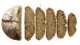 Duits brood, gesneden in plakken