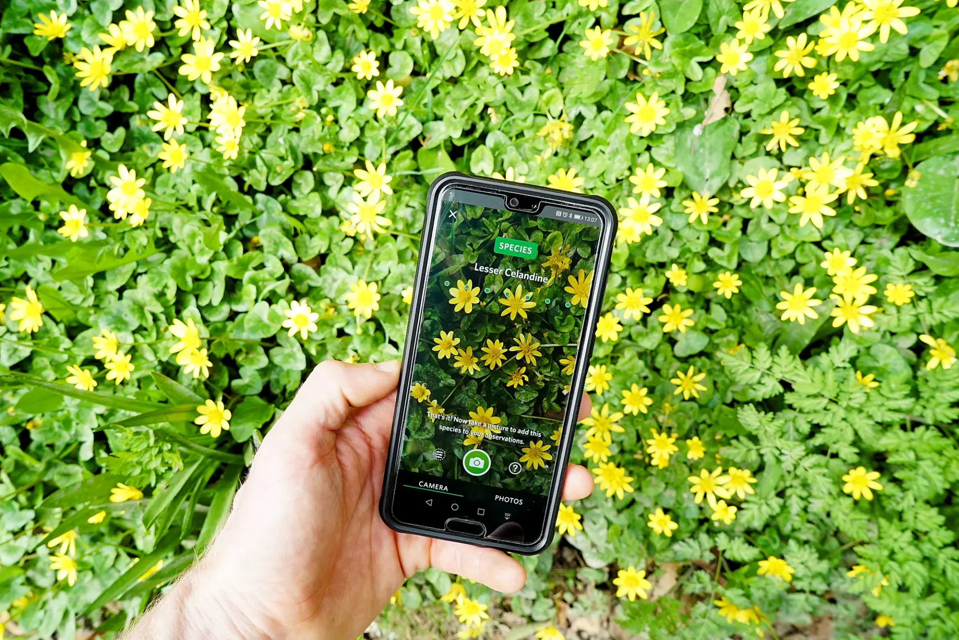 Bloem identificeren met een app. Alastair Humphreys