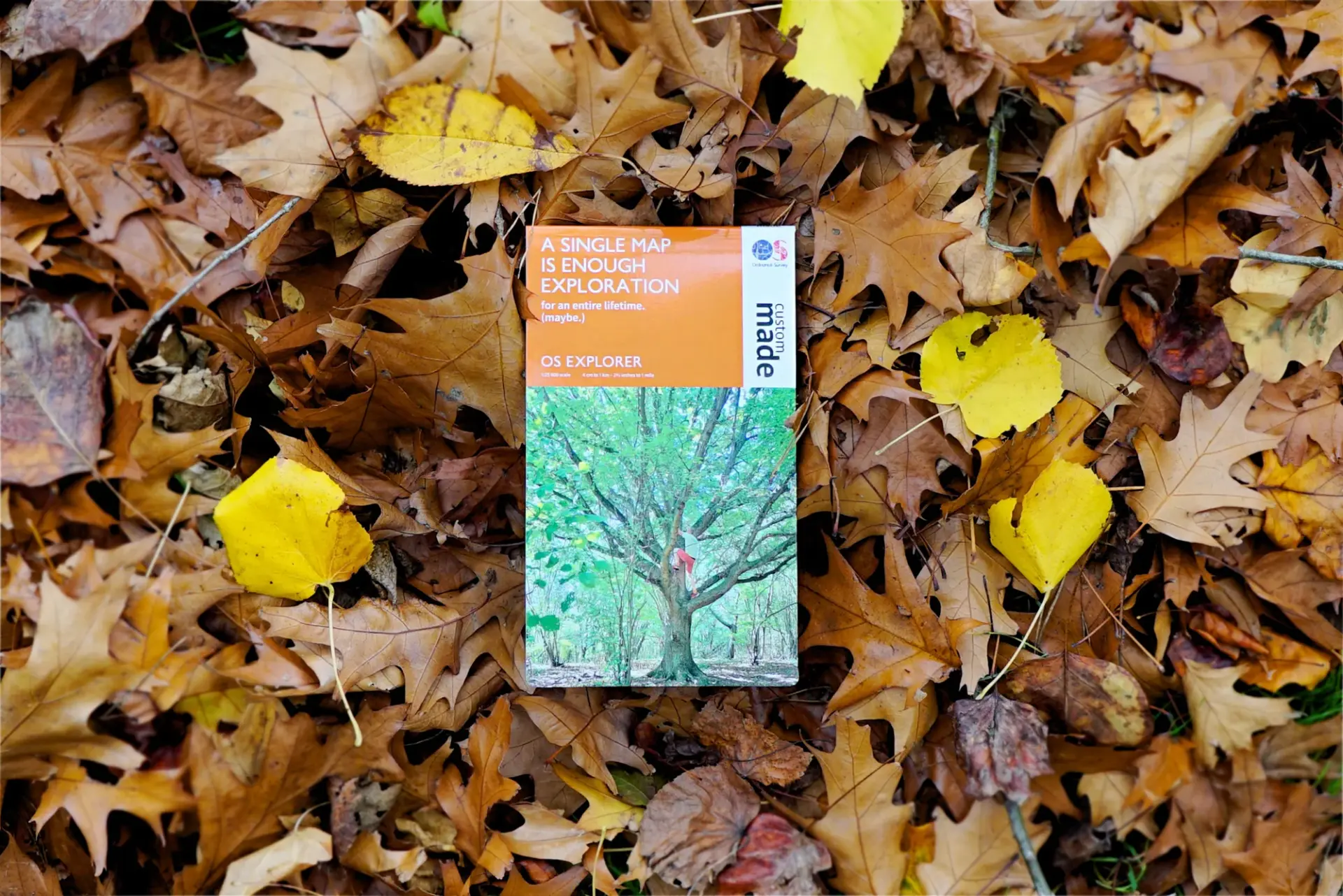 De plattegrond van Alastair