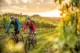 Mountainbiken tussen de wijnranken