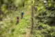 Mountainbiken in Rijnland-Palts
