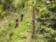 Mountainbiken in Rijnland-Palts