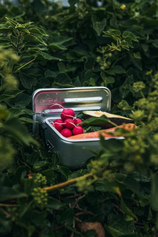 SIGG Metal Food Box