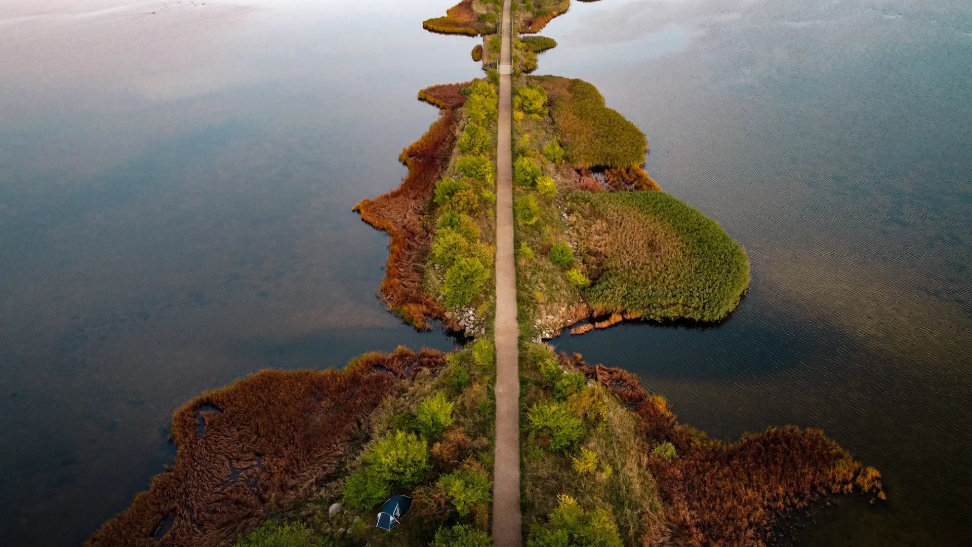 Trail on revel in autumn photo by Christian Borup-Larsen Header nieuwsbrief